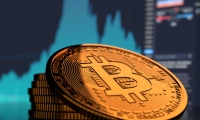 波罗的海干散货运价指数涨4