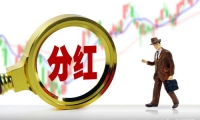 上海机场：2024年净利润19